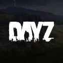 DayZ